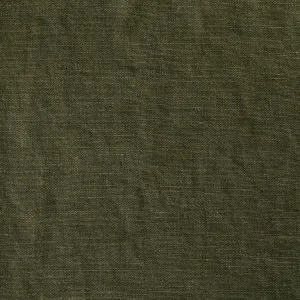 Chukka - Lizard